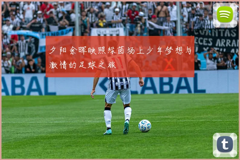 夕阳余晖映照绿茵场上少年梦想与激情的足球之旅