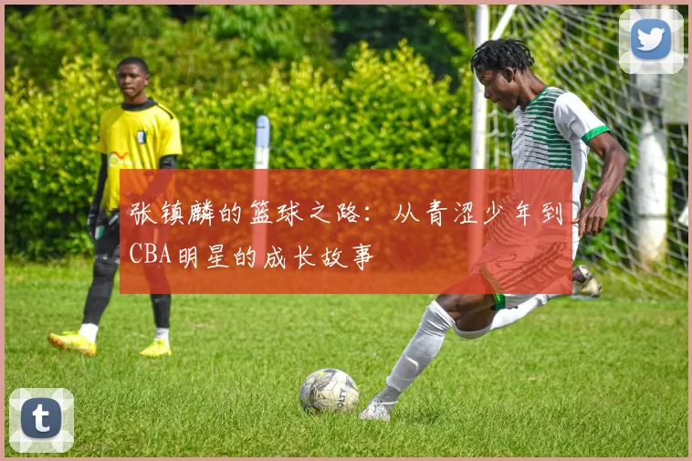 张镇麟的篮球之路：从青涩少年到CBA明星的成长故事