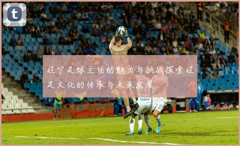 辽宁足球主场的魅力与挑战探索辽足文化的传承与未来发展