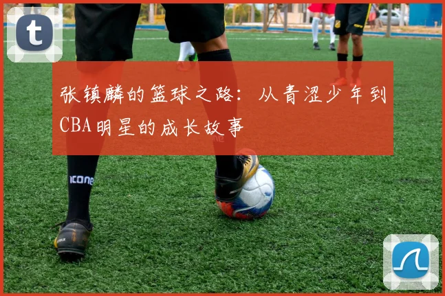 张镇麟的篮球之路：从青涩少年到CBA明星的成长故事