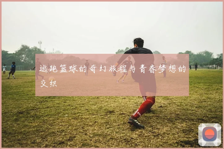 逃跑篮球的奇幻旅程与青春梦想的交织